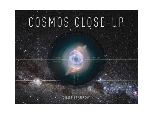 Cosmos Close-up